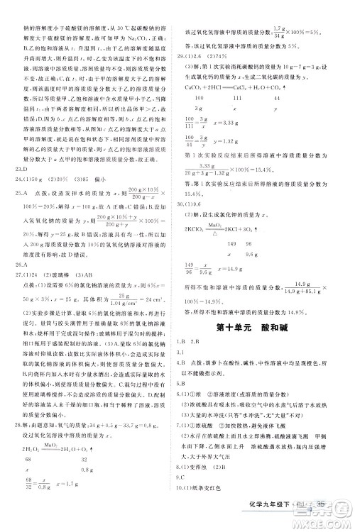 延边大学出版社2021新领程提分特训初中化学九年级下册RJ人教版答案