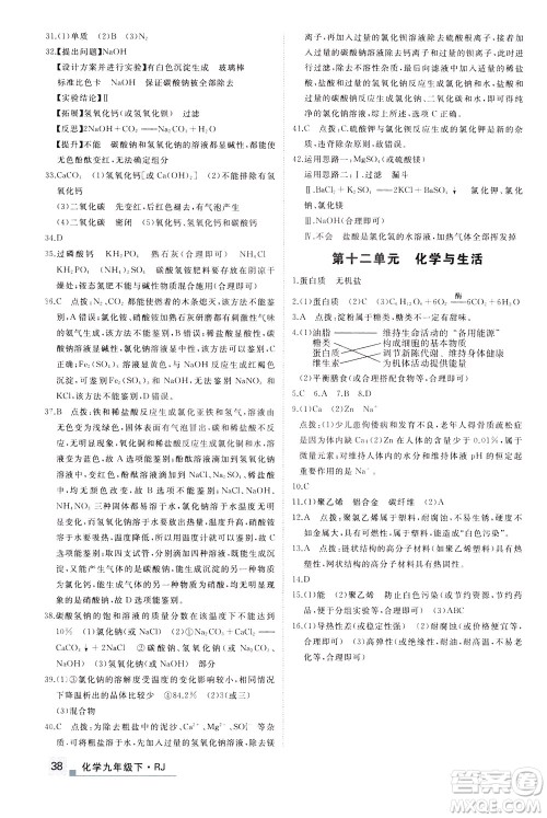 延边大学出版社2021新领程提分特训初中化学九年级下册RJ人教版答案