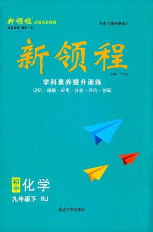 延边大学出版社2021新领程初中化学九年级下册RJ人教版答案