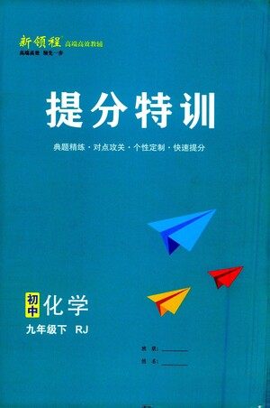 延边大学出版社2021新领程提分特训初中化学九年级下册RJ人教版答案