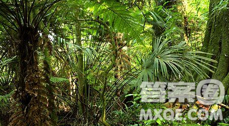 我眼中最美的风景作文600字 关于我眼中最美的风景的作文600字 我眼中最美的风景作文600字 关于我眼中最美的风景的作文600字