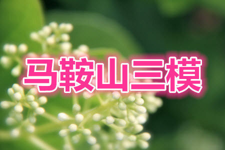 马鞍山市2021年高三第三次教学质量监测文科数学试题及答案 马鞍山市2021年高三第三次教学质量监测文科数学试题及答案