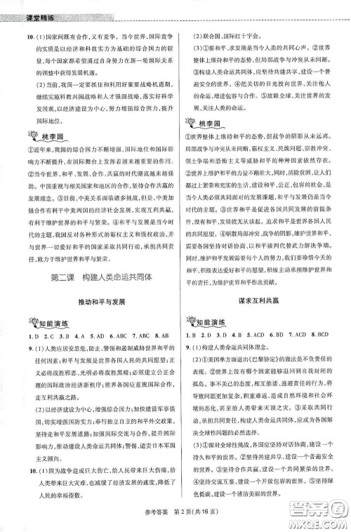 北京师范大学出版社2021课堂精练九年级道德与法治下册河南专版答案