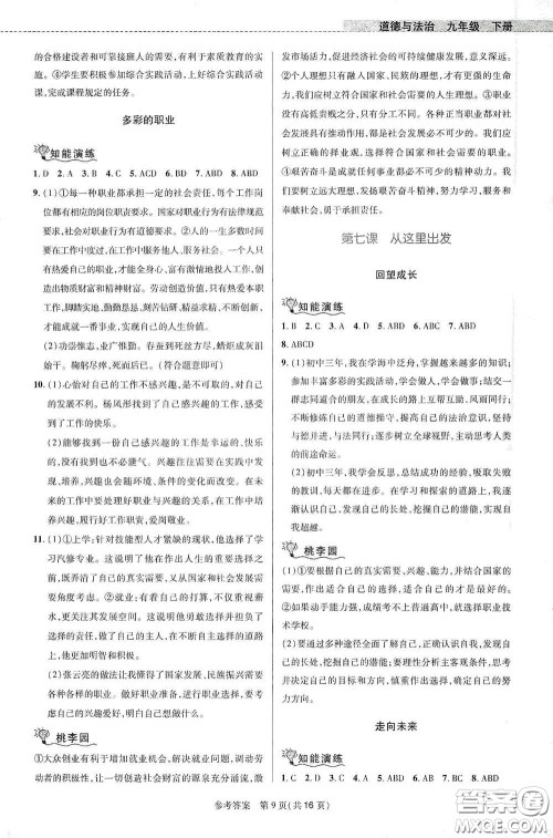 北京师范大学出版社2021课堂精练九年级道德与法治下册河南专版答案