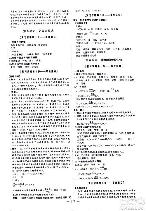 山东美术出版社2021新中考集训中考总复习化学九年级通用版答案