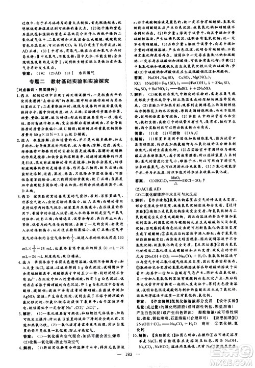 山东美术出版社2021新中考集训中考总复习化学九年级通用版答案