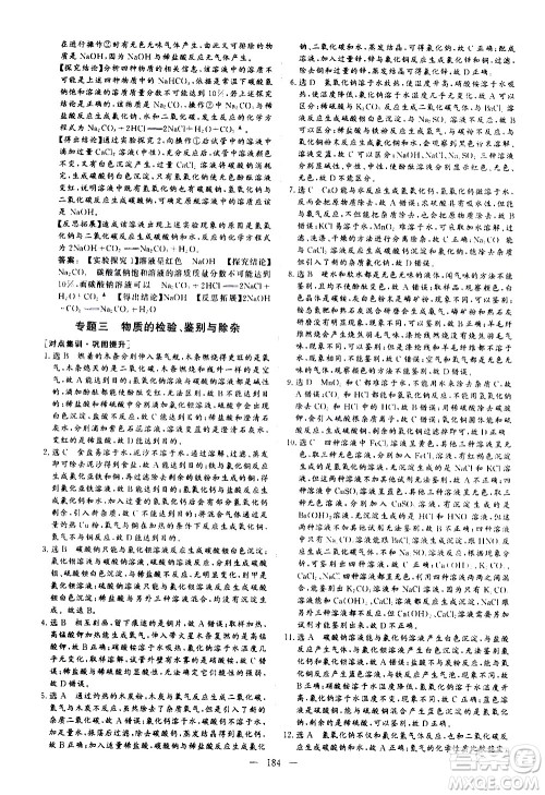 山东美术出版社2021新中考集训中考总复习化学九年级通用版答案