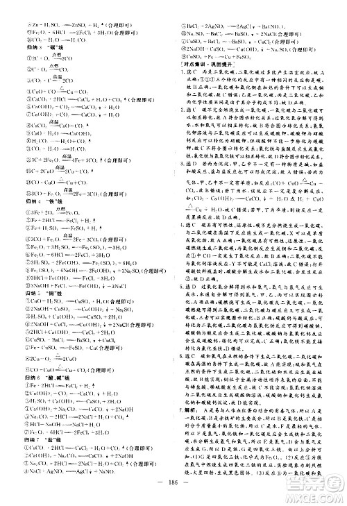 山东美术出版社2021新中考集训中考总复习化学九年级通用版答案