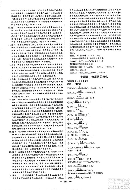 山东美术出版社2021新中考集训中考总复习化学九年级通用版答案