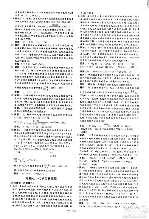 山东美术出版社2021新中考集训中考总复习化学九年级通用版答案