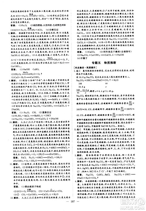 山东美术出版社2021新中考集训中考总复习化学九年级通用版答案