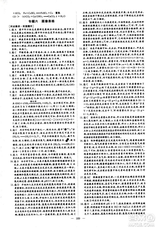 山东美术出版社2021新中考集训中考总复习化学九年级通用版答案