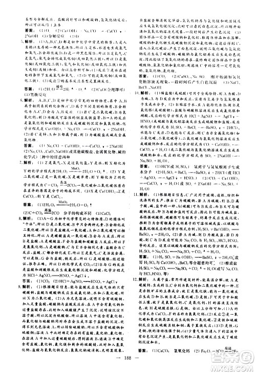 山东美术出版社2021新中考集训中考总复习化学九年级通用版答案