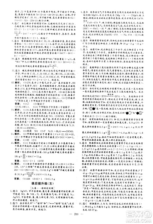 山东美术出版社2021新中考集训中考总复习化学九年级通用版答案