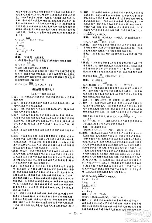 山东美术出版社2021新中考集训中考总复习化学九年级通用版答案