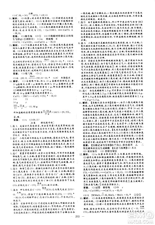 山东美术出版社2021新中考集训中考总复习化学九年级通用版答案