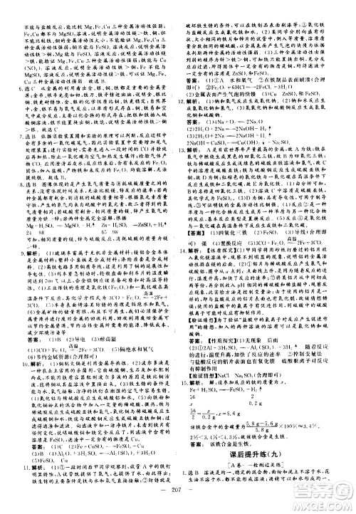 山东美术出版社2021新中考集训中考总复习化学九年级通用版答案