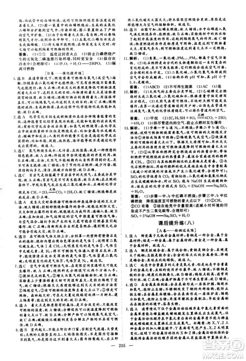 山东美术出版社2021新中考集训中考总复习化学九年级通用版答案