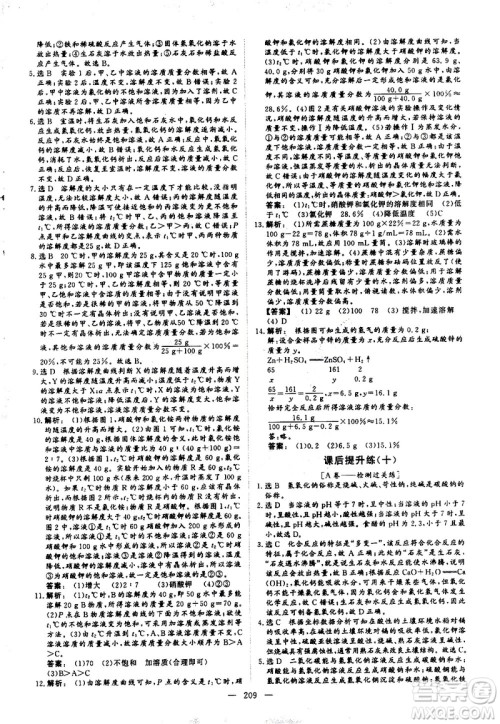 山东美术出版社2021新中考集训中考总复习化学九年级通用版答案