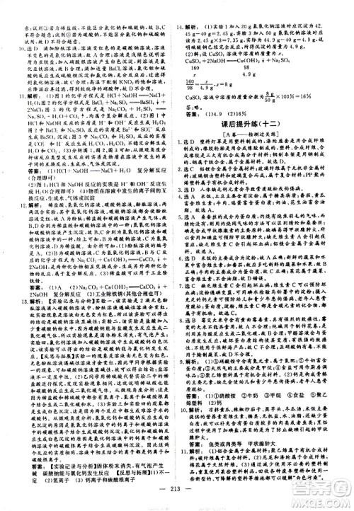 山东美术出版社2021新中考集训中考总复习化学九年级通用版答案