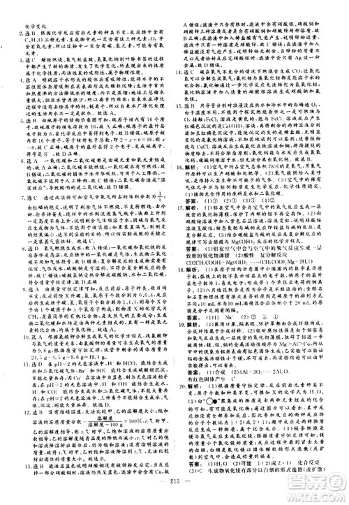 山东美术出版社2021新中考集训中考总复习化学九年级通用版答案