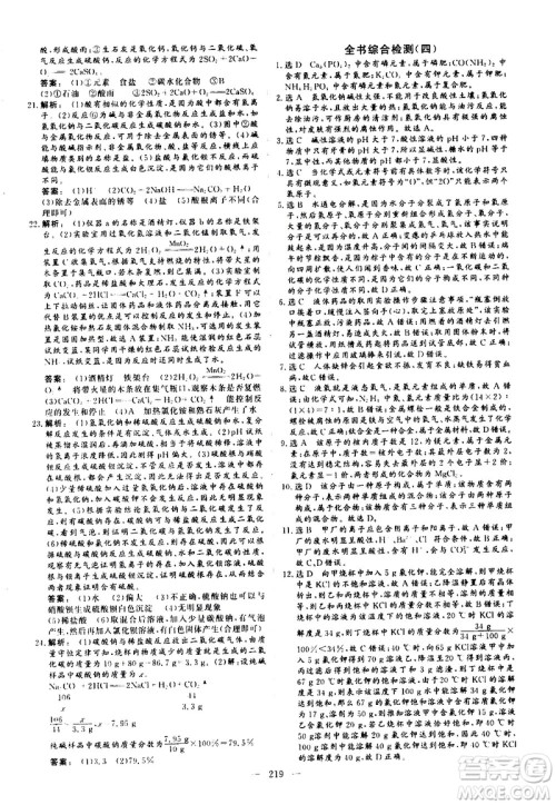 山东美术出版社2021新中考集训中考总复习化学九年级通用版答案