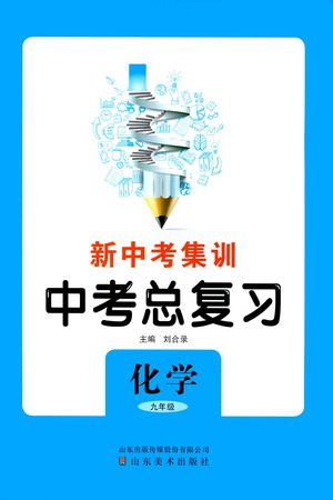 山东美术出版社2021新中考集训中考总复习化学九年级通用版答案