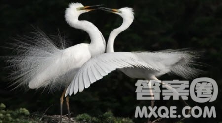 我喜欢的英语谚语英语作文 关于我喜欢的英语谚语的英语作文 我喜欢的英语谚语英语作文 关于我喜欢的英语谚语的英语作文