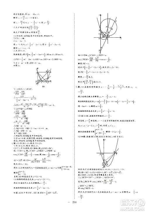 山东美术出版社2021新中考集训中考总复习数学九年级通用版答案