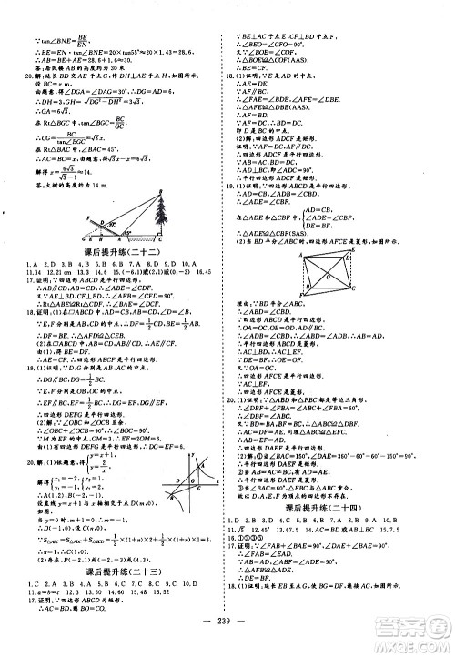 山东美术出版社2021新中考集训中考总复习数学九年级通用版答案