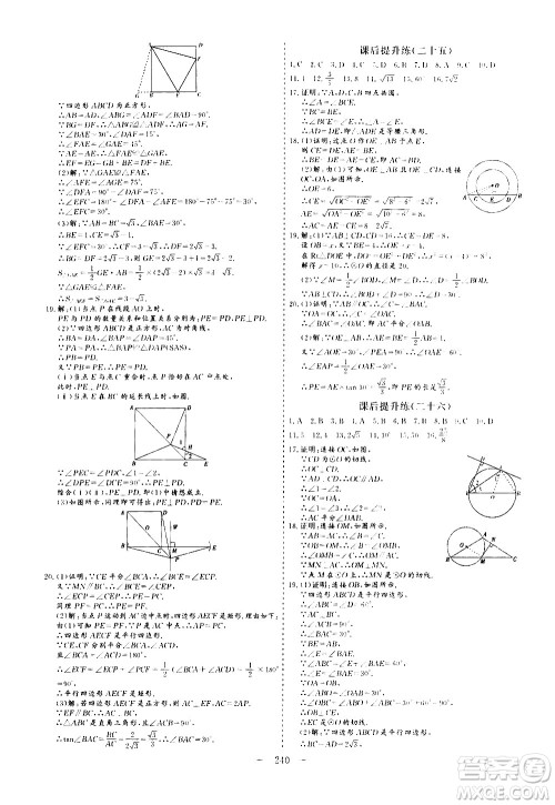 山东美术出版社2021新中考集训中考总复习数学九年级通用版答案