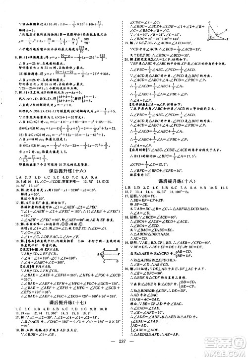 山东美术出版社2021新中考集训中考总复习数学九年级通用版答案 山东美术出版社2021新中考集训中考总复习数学九年级通用版答案