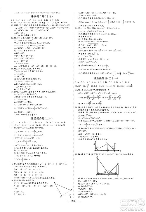 山东美术出版社2021新中考集训中考总复习数学九年级通用版答案