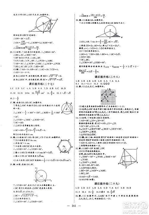 山东美术出版社2021新中考集训中考总复习数学九年级通用版答案