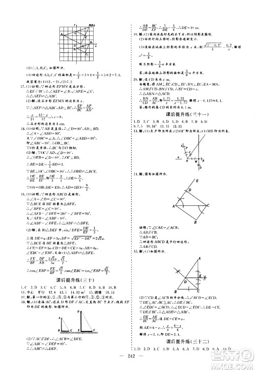 山东美术出版社2021新中考集训中考总复习数学九年级通用版答案