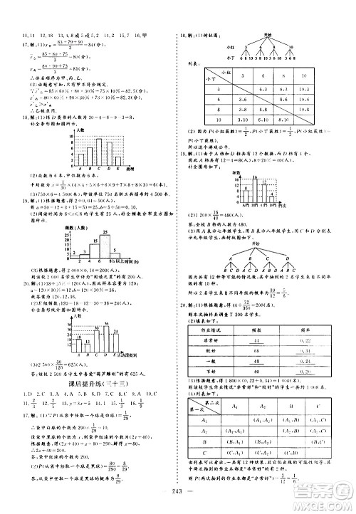 山东美术出版社2021新中考集训中考总复习数学九年级通用版答案