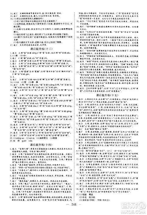 山东美术出版社2021新中考集训中考总复习语文九年级通用版答案