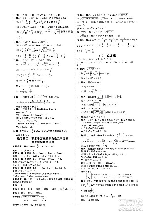 光明日报出版社2021全效学习课时提优数学七年级下册RJ人教版A版答案