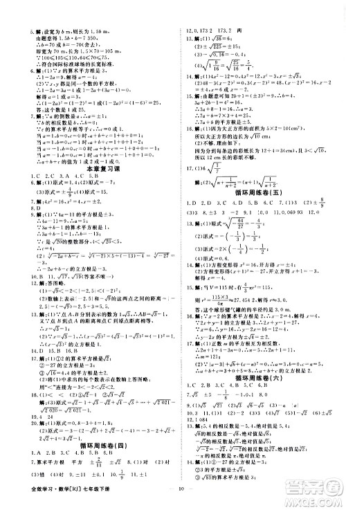 光明日报出版社2021全效学习课时提优数学七年级下册RJ人教版A版答案