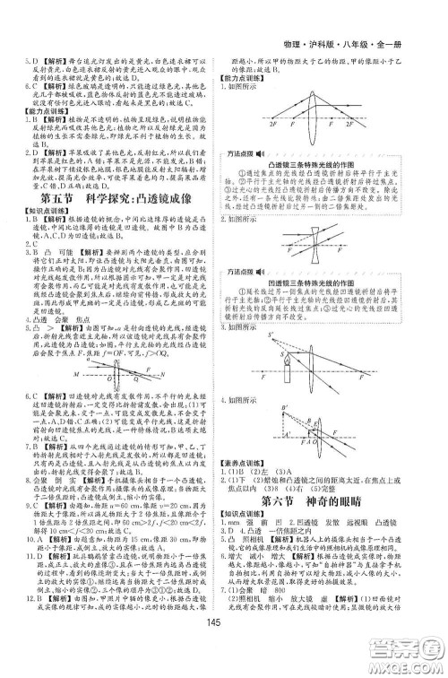 黄山出版社2021新编基础训练八年级物理全一册物理沪科版答案