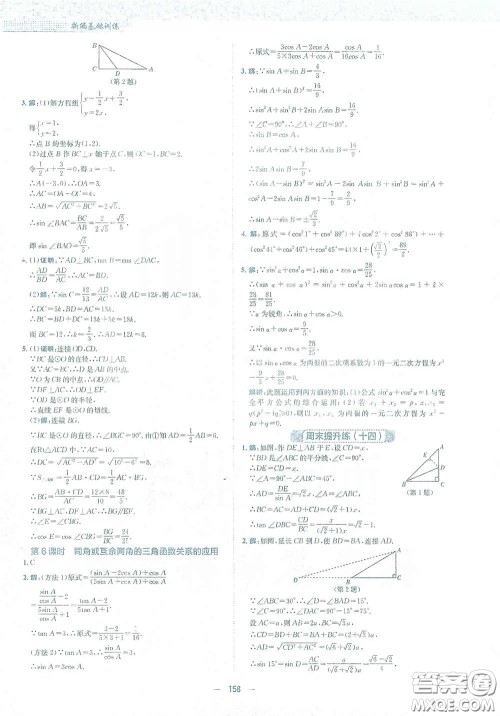 安徽教育出版社2021新编基础训练九年级数学下册人教版答案 安徽教育出版社2021新编基础训练九年级数学下册人教版答案