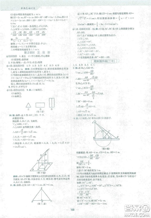 安徽教育出版社2021新编基础训练九年级数学下册人教版答案