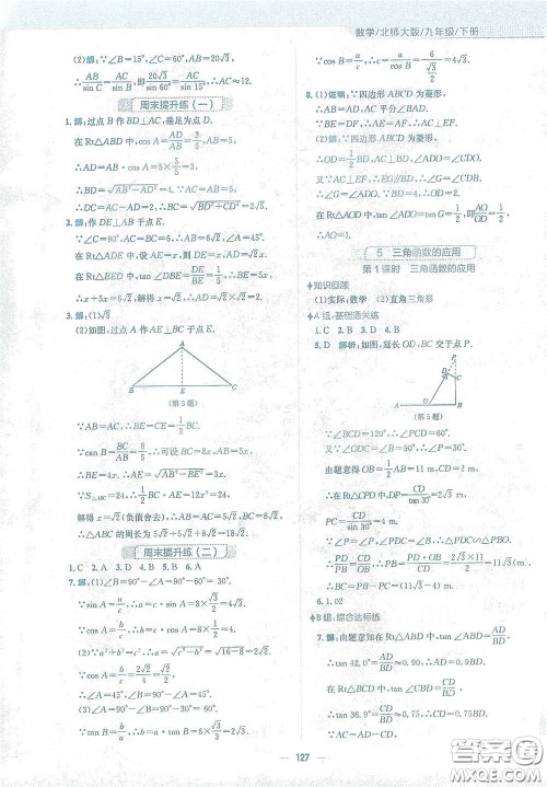 安徽教育出版社2021新编基础训练九年级数学下册北师大版答案