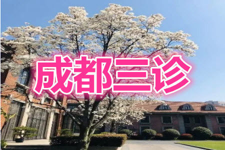 成都市2018级高中毕业班第三次诊断性检测理科数学试题及答案