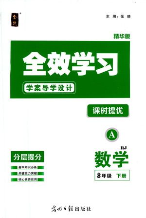 光明日报出版社2021全效学习课时提优数学八年级下册RJ人教版A版答案