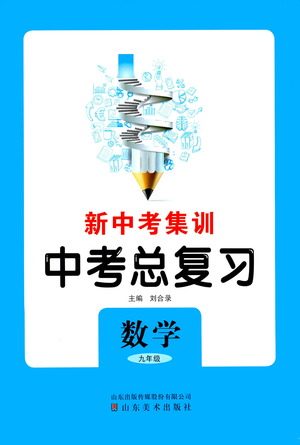 山东美术出版社2021新中考集训中考总复习数学九年级通用版答案