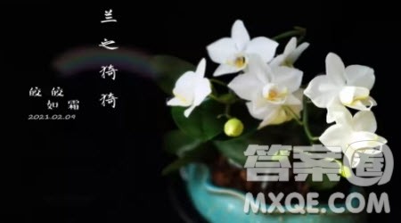 重要时刻为题作文800字 关于重要时刻的题目作文800字 重要时刻为题作文800字 关于重要时刻的题目作文800字