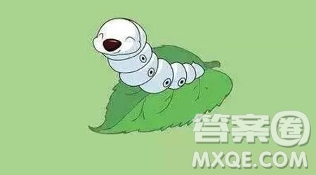 观察蚕宝宝的作文400字 关于观察蚕宝宝的作文400字