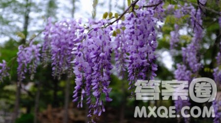 我的心中你最美作文600字 关于我的心中你最美的作文600字 我的心中你最美作文600字 关于我的心中你最美的作文600字