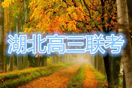 2020-2021学年湖北省新高考模拟联考语文试题及答案 2020-2021学年湖北省新高考模拟联考语文试题及答案